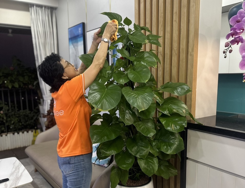 Anh Thư dọn dẹp tại một căn hộ thuộc ở quận 2, TP HCM, tháng 8/2023. Ảnh Nhân vật cung cấp