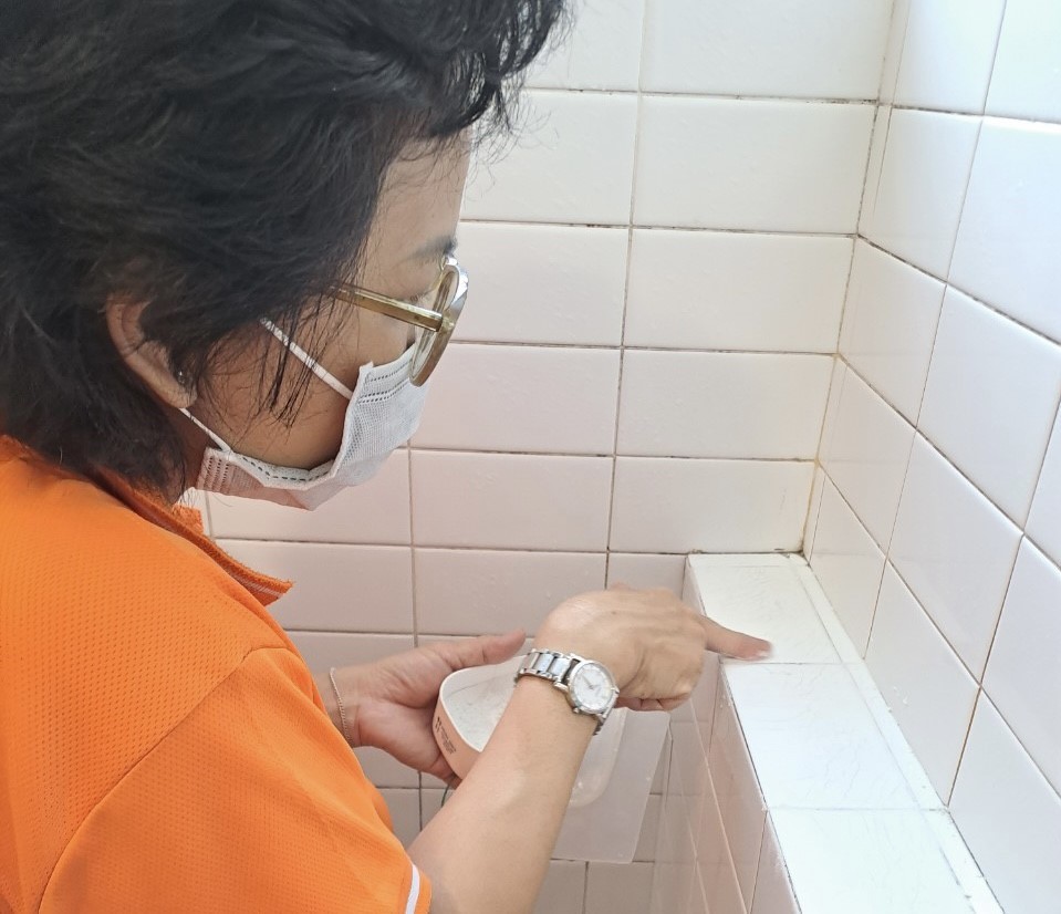 Anh Thư đang xem xét và tìm phương pháp tẩy sạch ron gạch (khe mạch nối hai viên gạch) trong nhà vệ sinh của khách ở quận 2. Ảnh nhân vật cung cấp